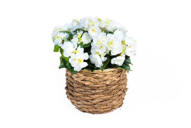 Witte zijden hortensia's in een rieten mand